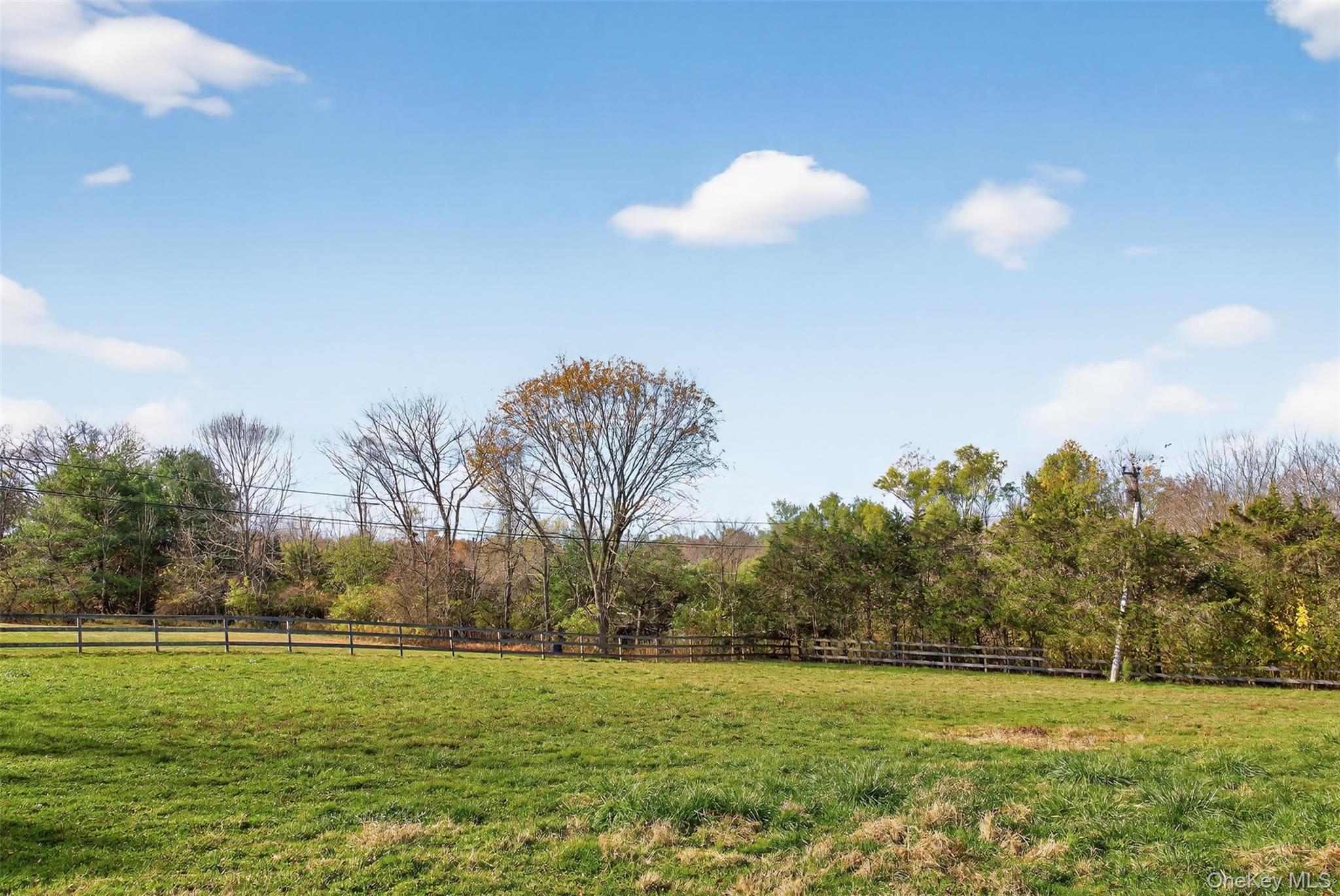 99 Dusinberre Road – For Sale photo 21
