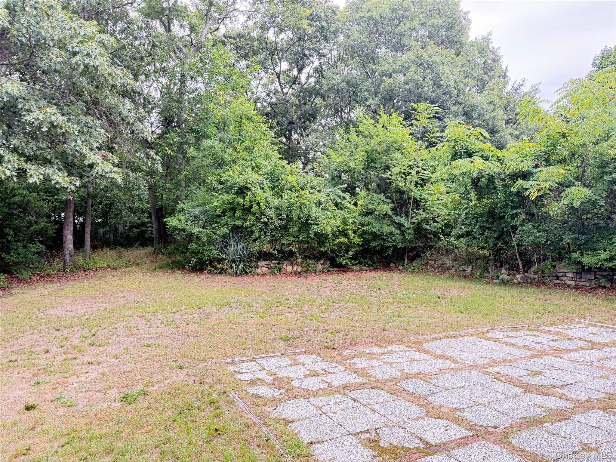 49 Midvale Avenue – For Sale photo 15