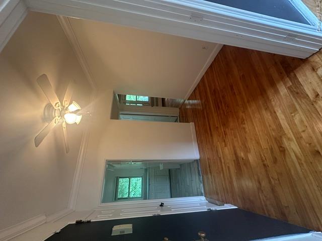 9 Stokes Road, Unit 2B photo 9