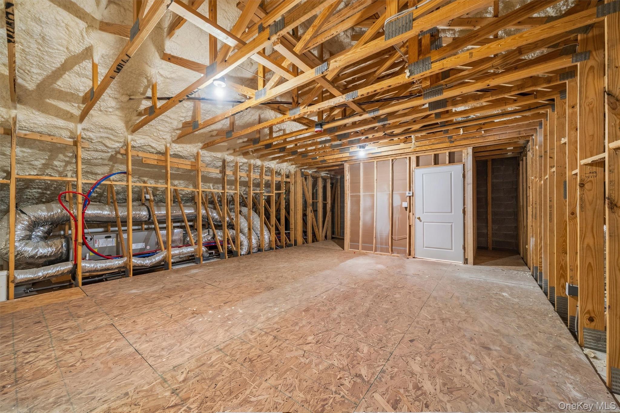 4 Melitz Street, Unit 216 photo 44