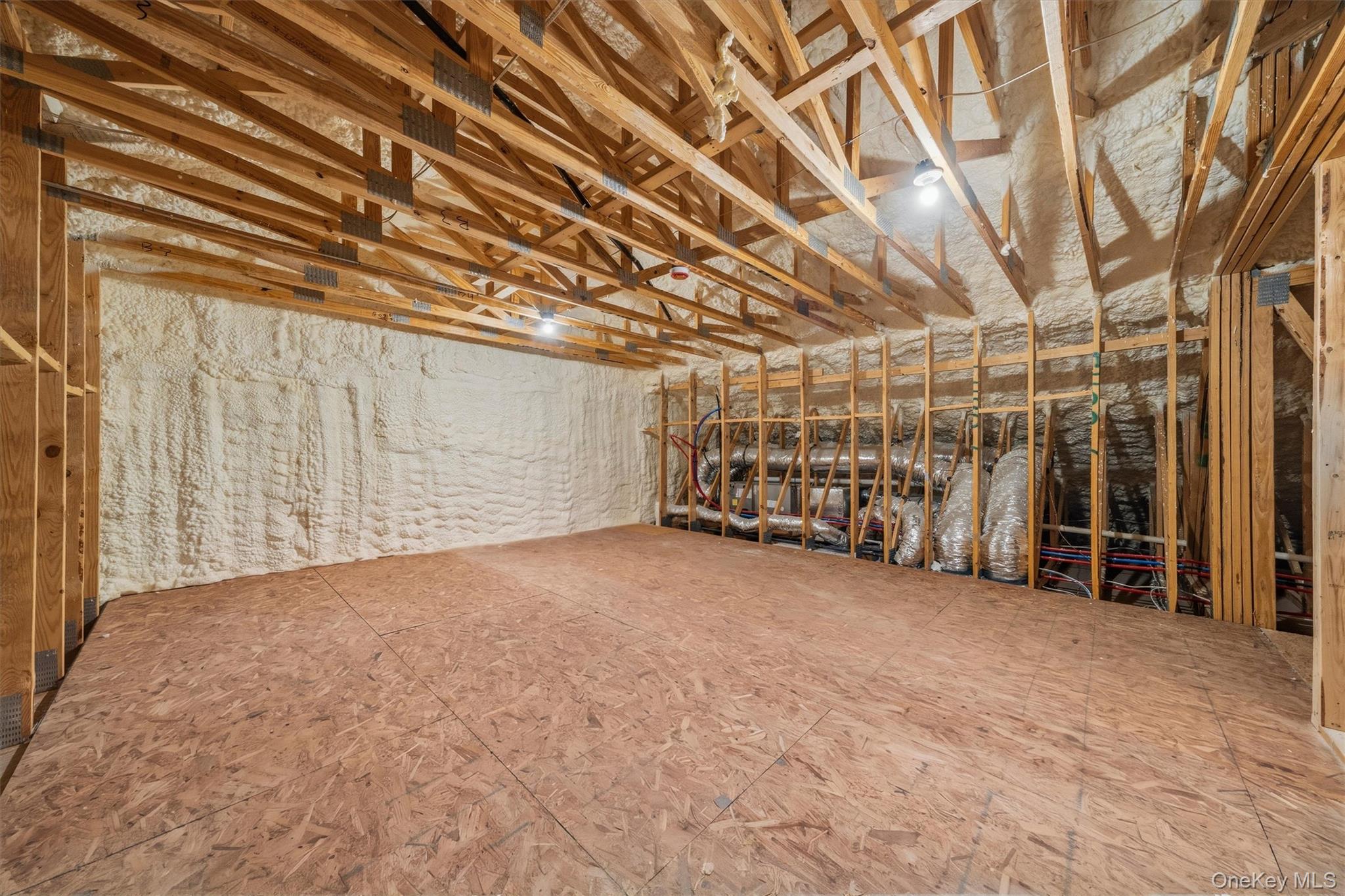 4 Melitz Street, Unit 216 photo 43