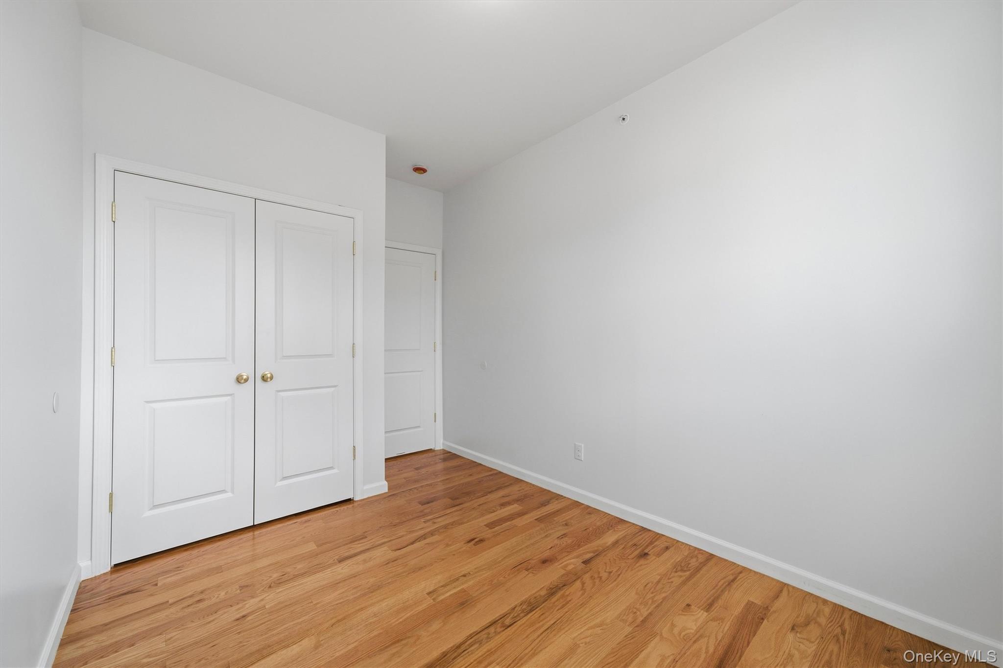 4 Melitz Street, Unit 216 photo 31
