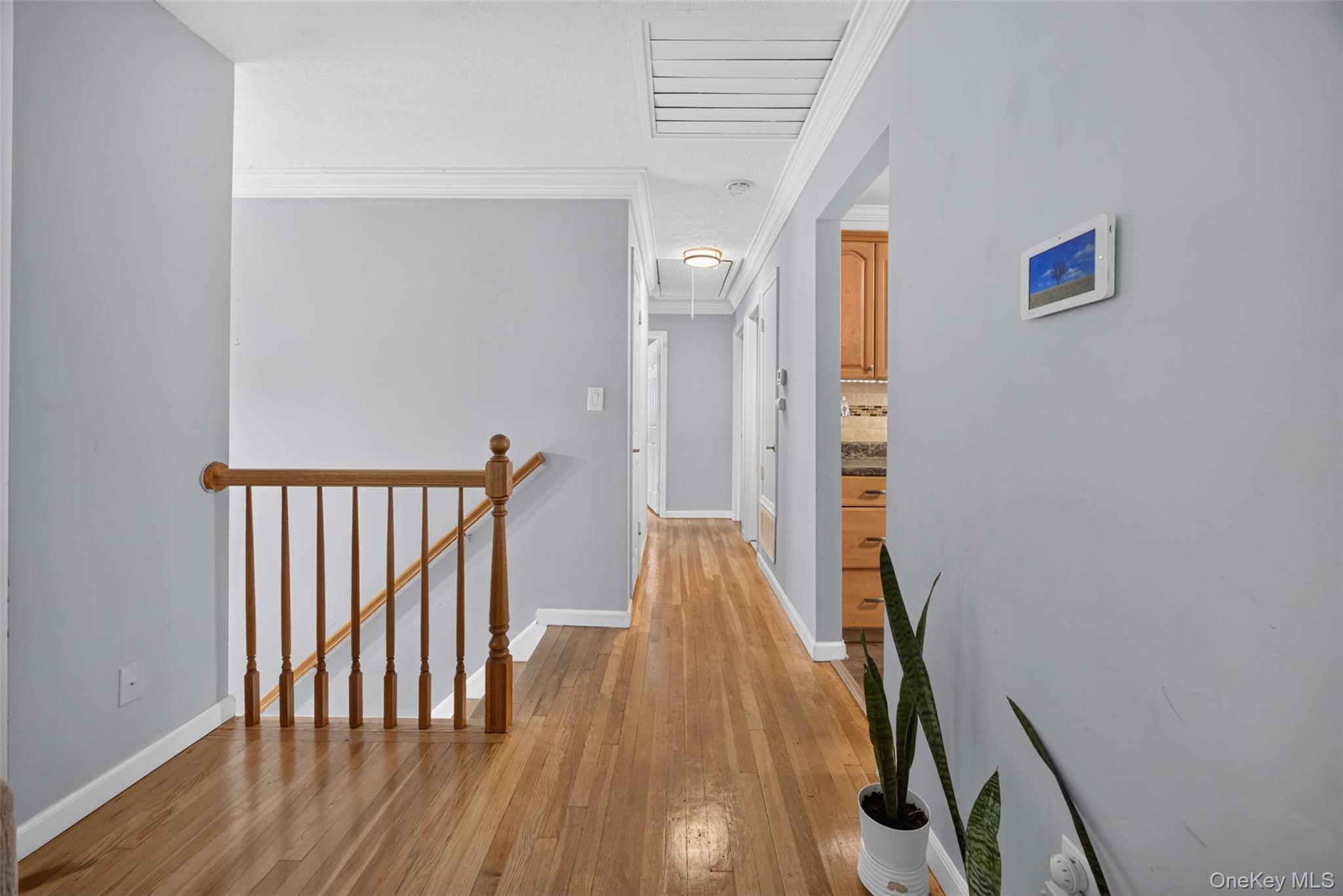 32 Surrey Road – For Sale photo 17
