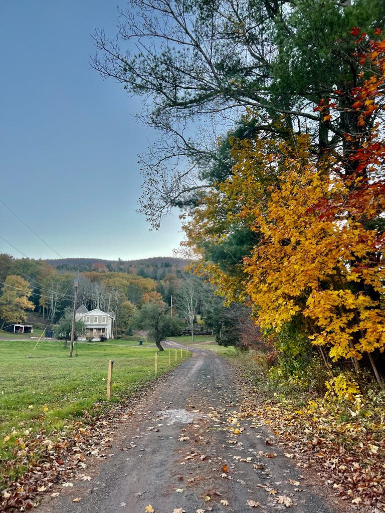 226 State Route 296 – For Sale photo 35