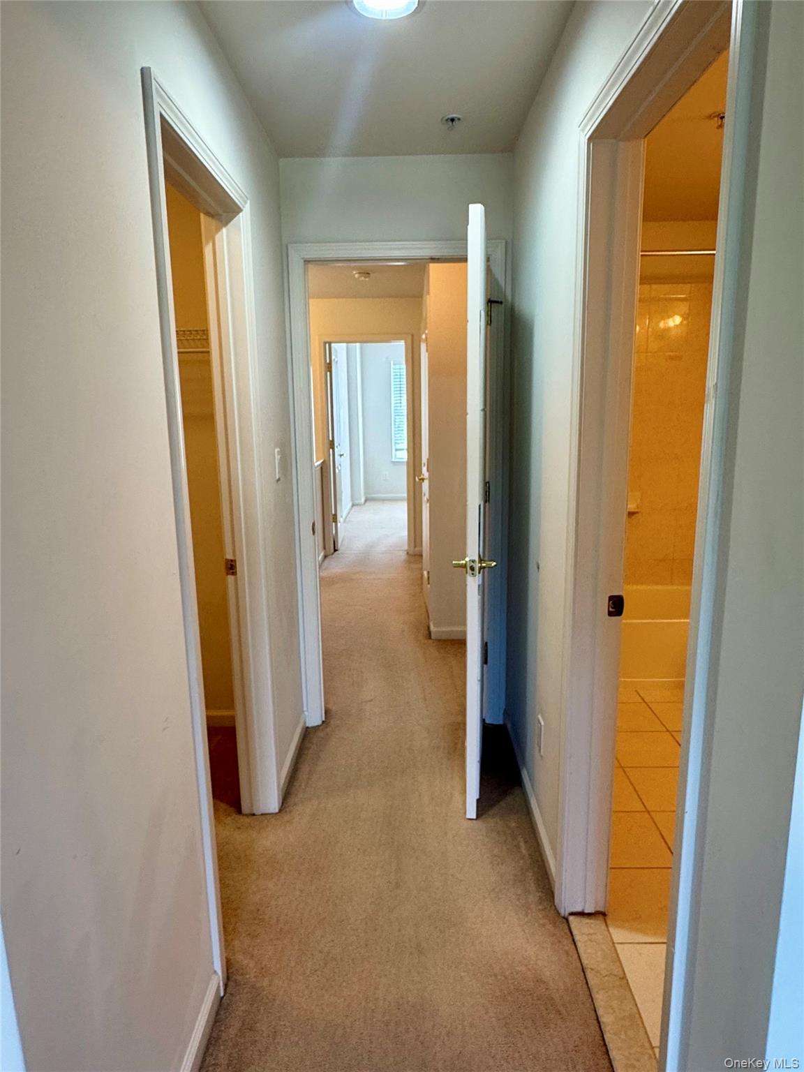 19 Putters Way, Unit 10 photo 6