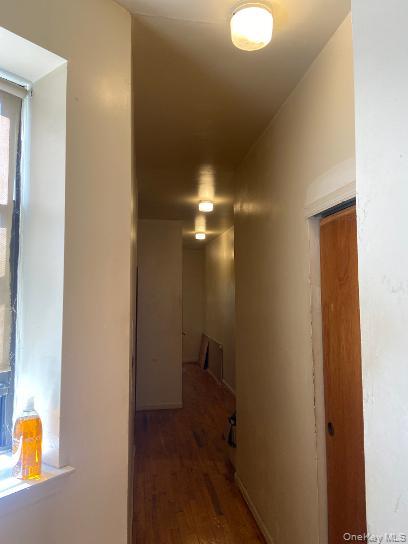 478 Bainbridge Street, Unit 1A photo 4