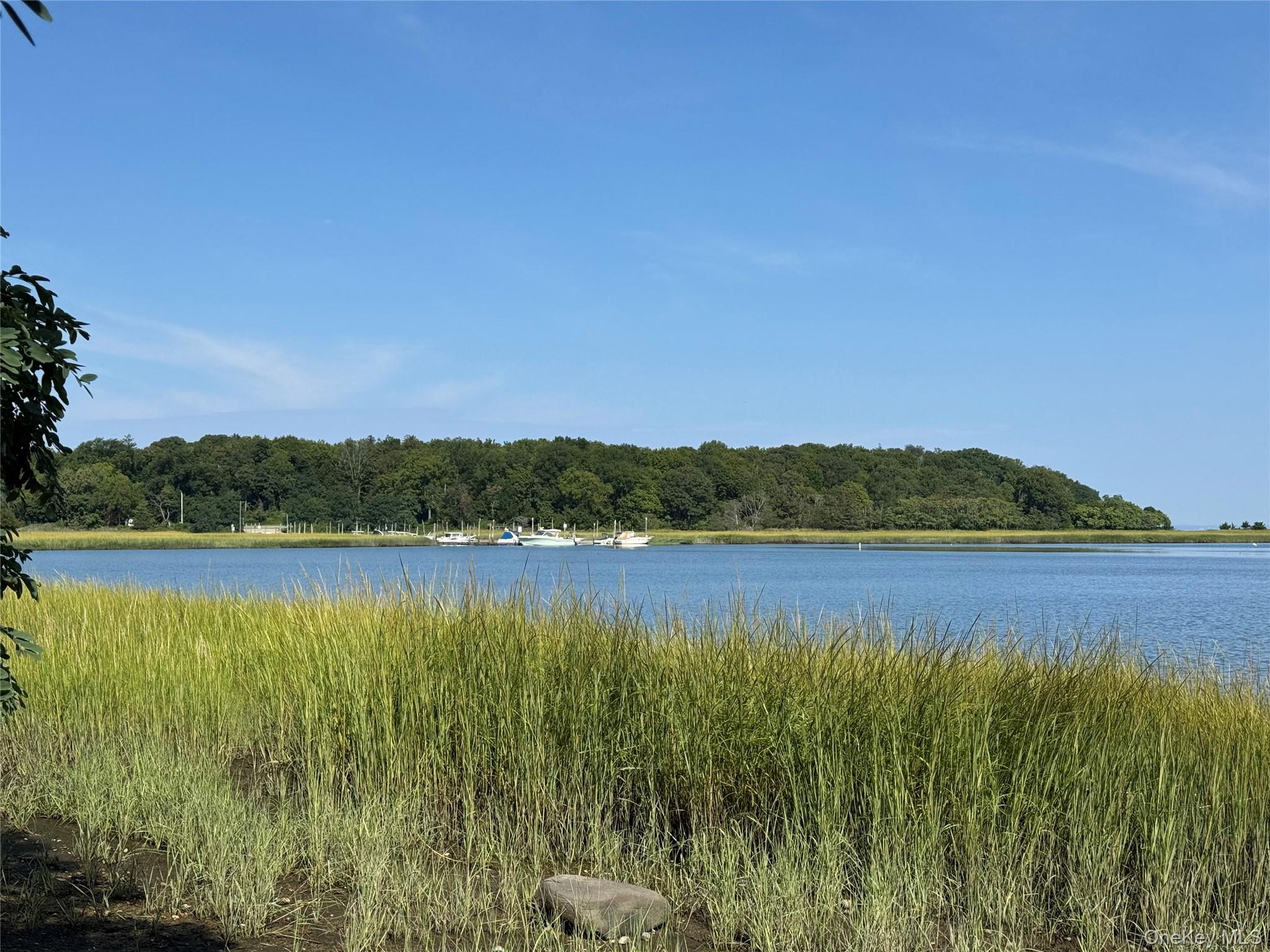 119 Whittier Drive – For Rent photo 41