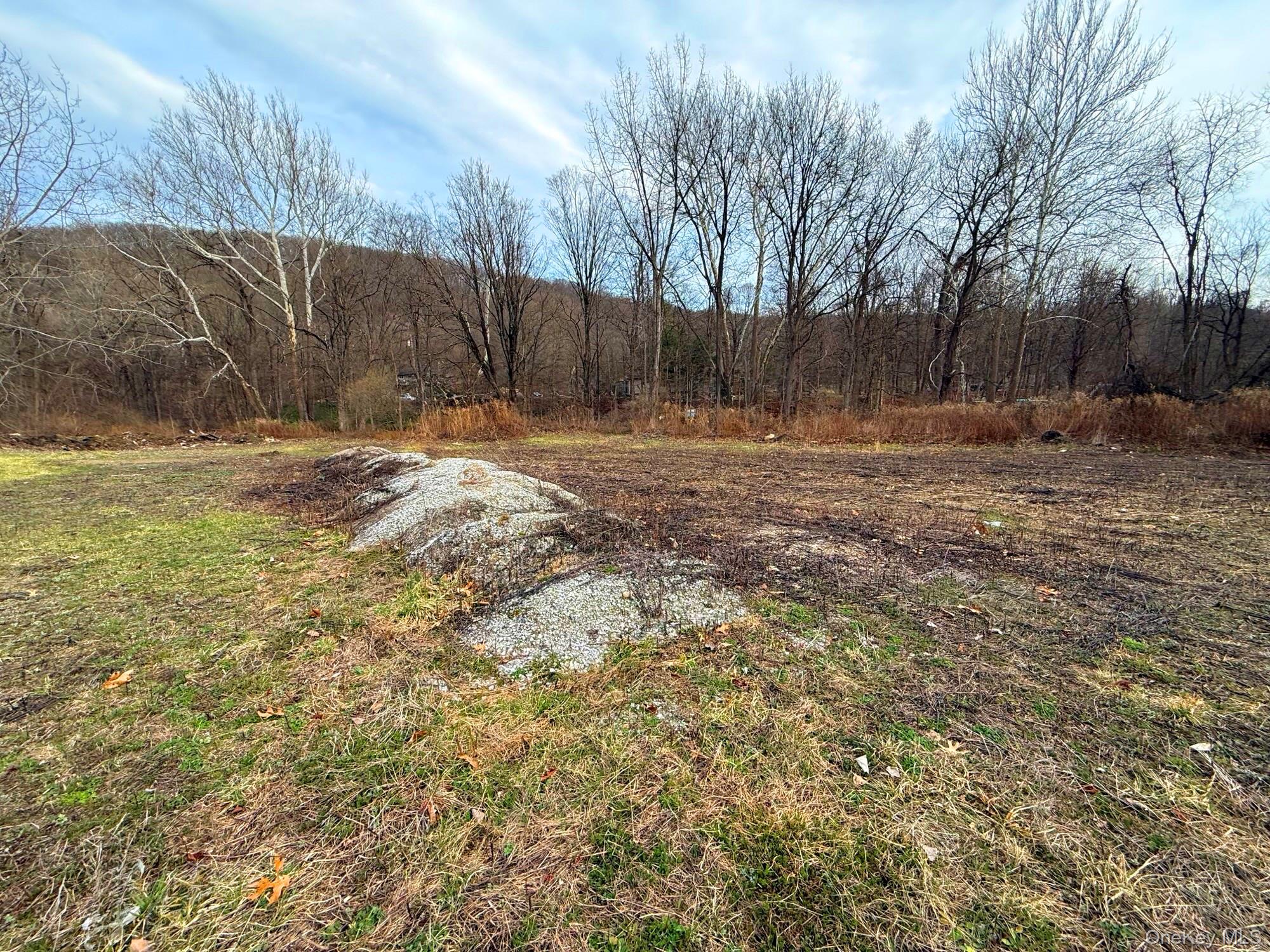 106 Route 22 – For Sale photo 4