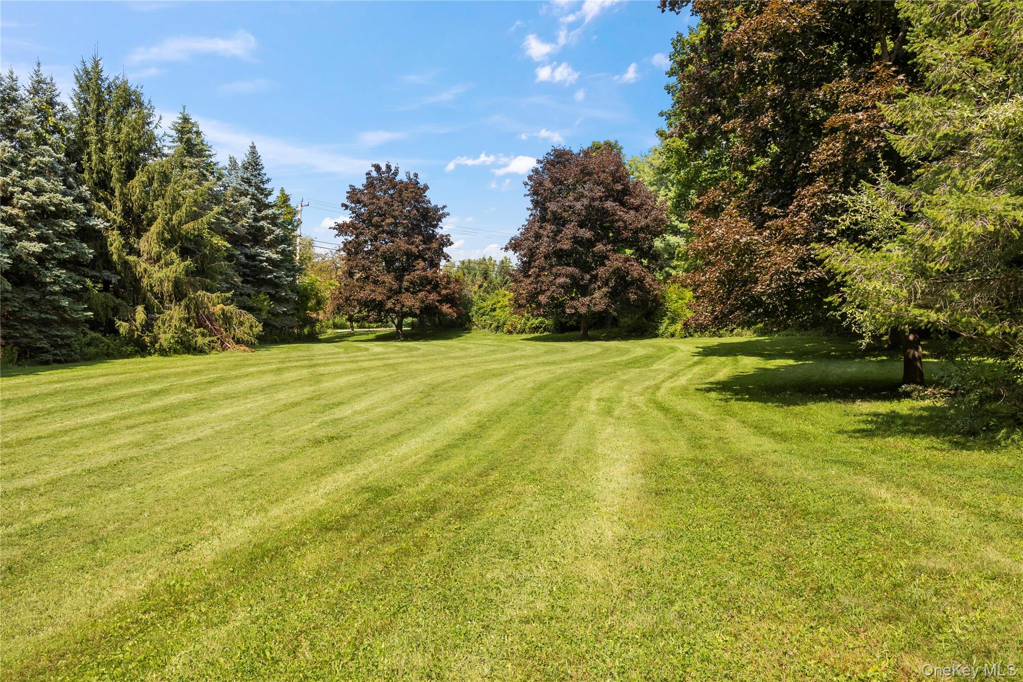 5 Link Road – For Sale photo 28