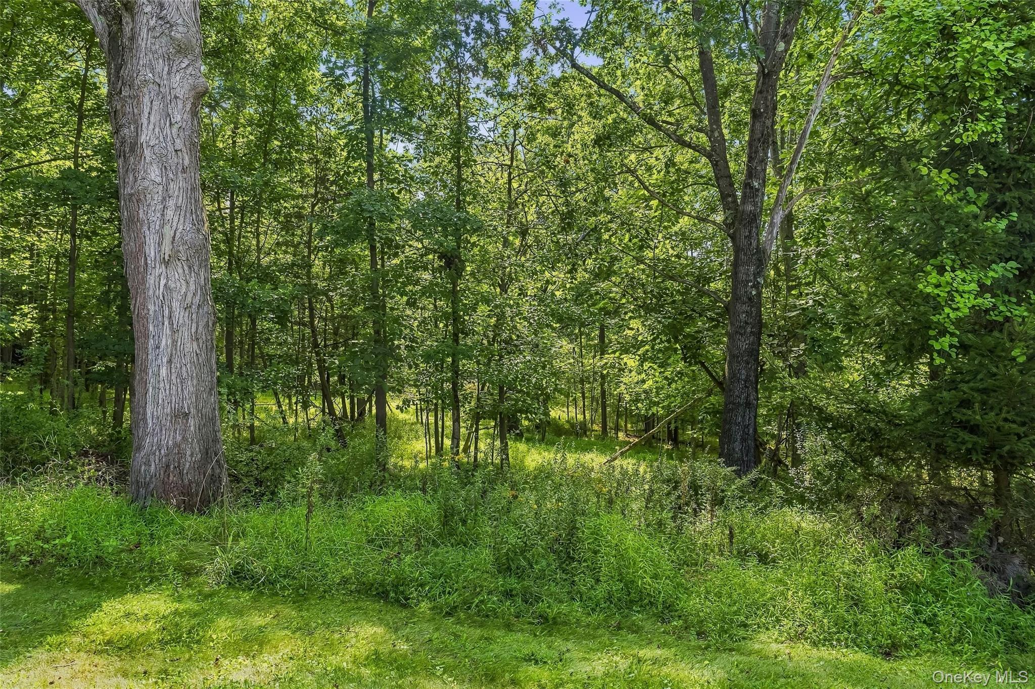 35 Cunningham – For Rent photo 45