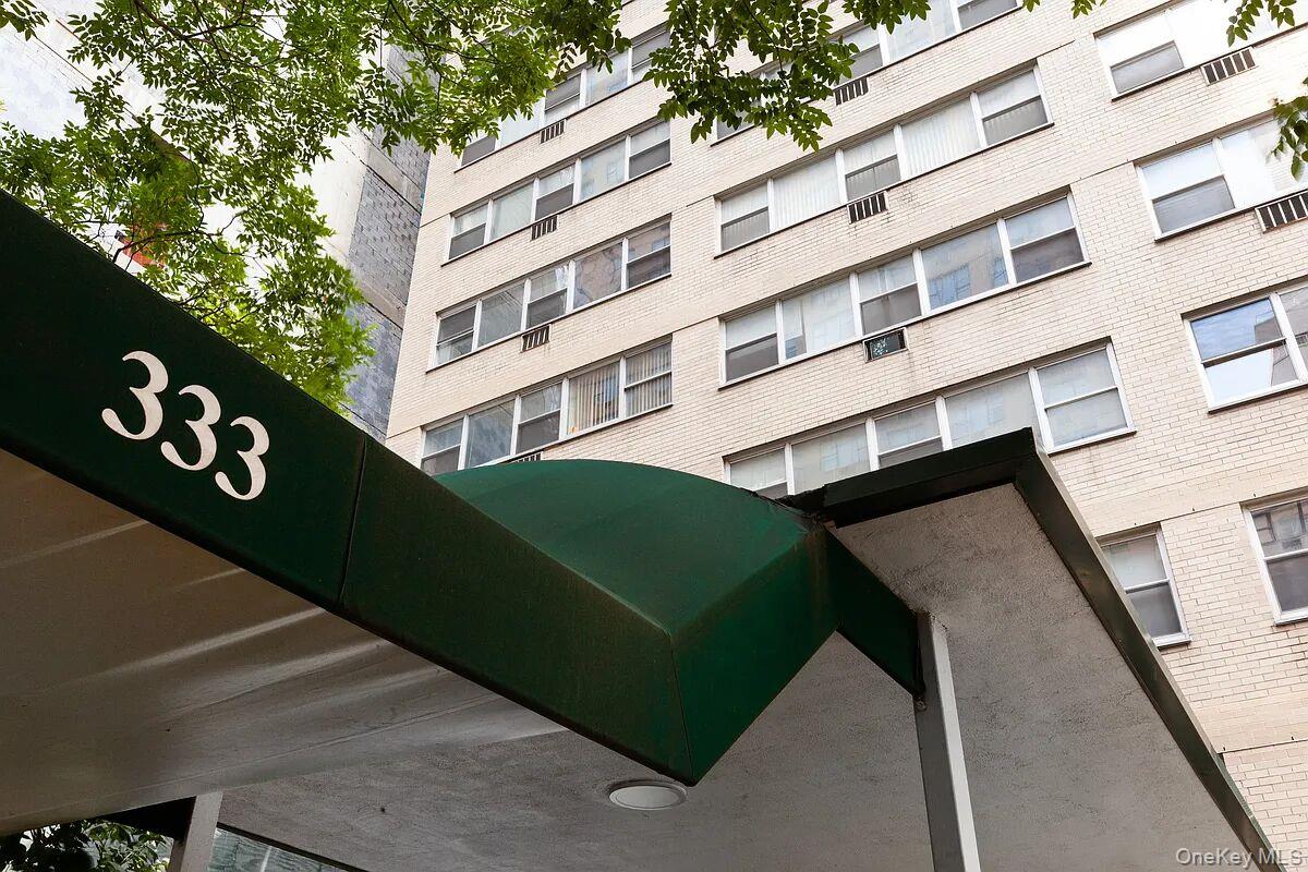 333 E 46th Street, Unit 10E photo 2