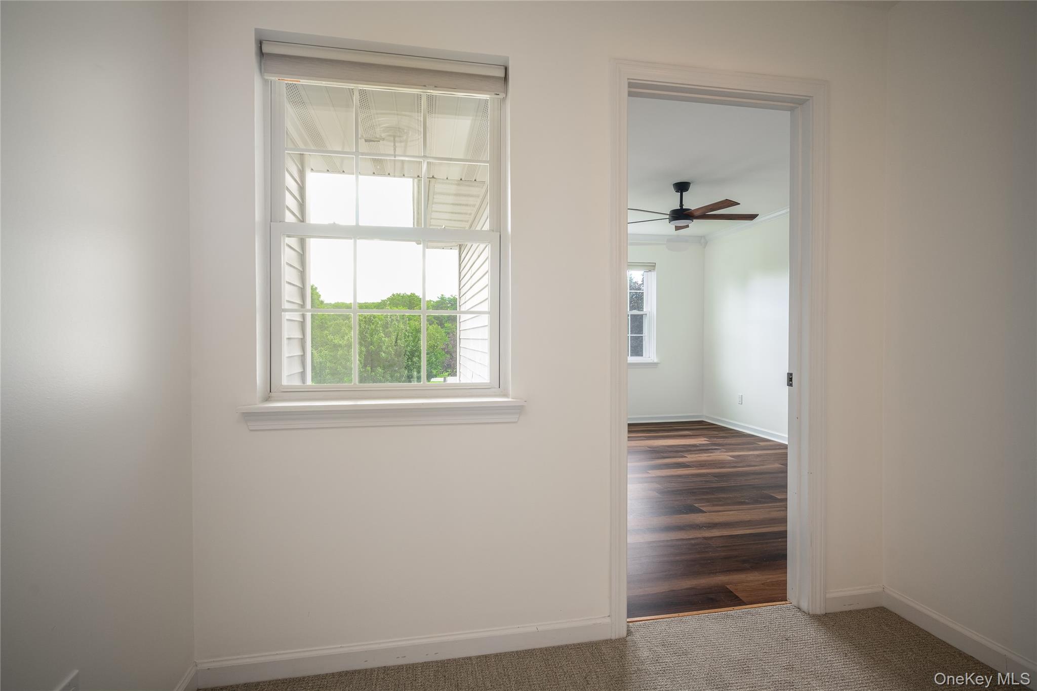 64 Tee Lane – For Rent photo 29