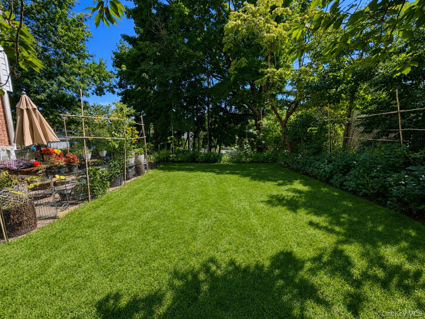 286 Eastchester Road – For Sale photo 18