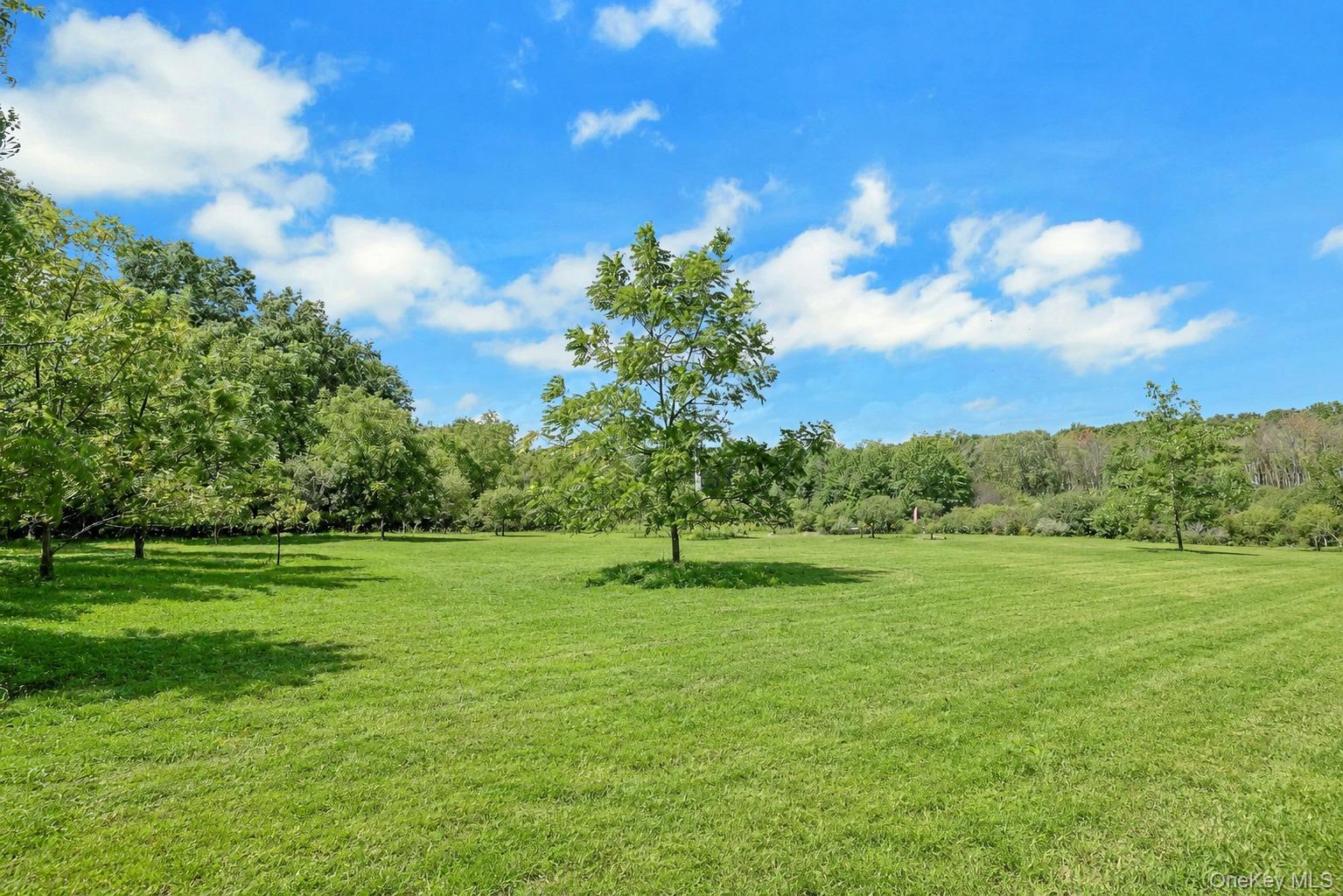 130 Apple Lane Drive – For Sale photo 29