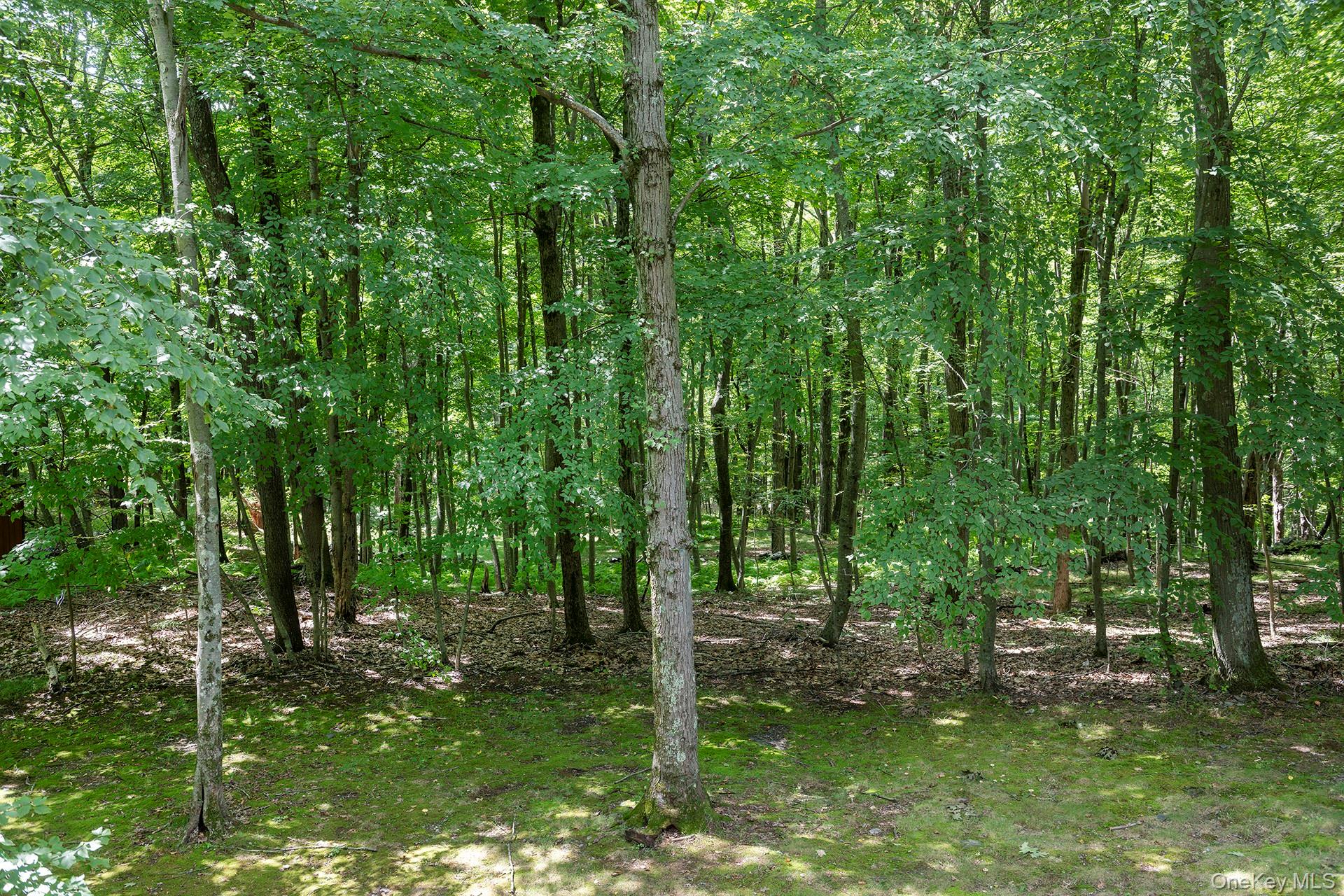 137 Old Camby Road – For Sale photo 36