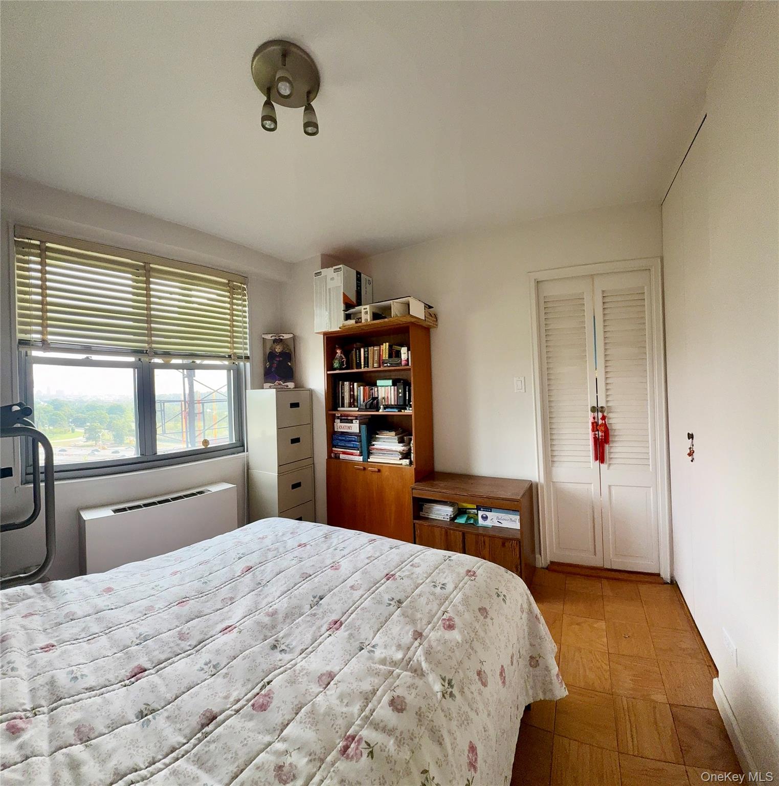 61-20 Grand Central Parkway, Unit A 1002 photo 11