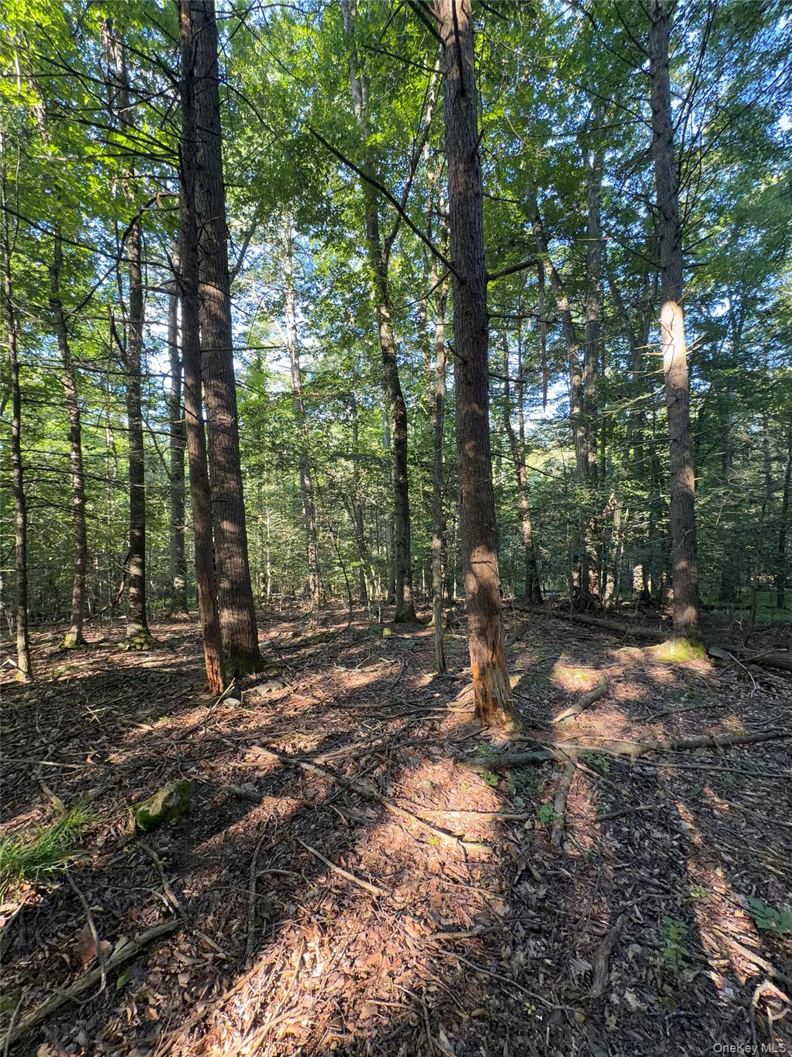 Hidden Court – For Sale photo 4