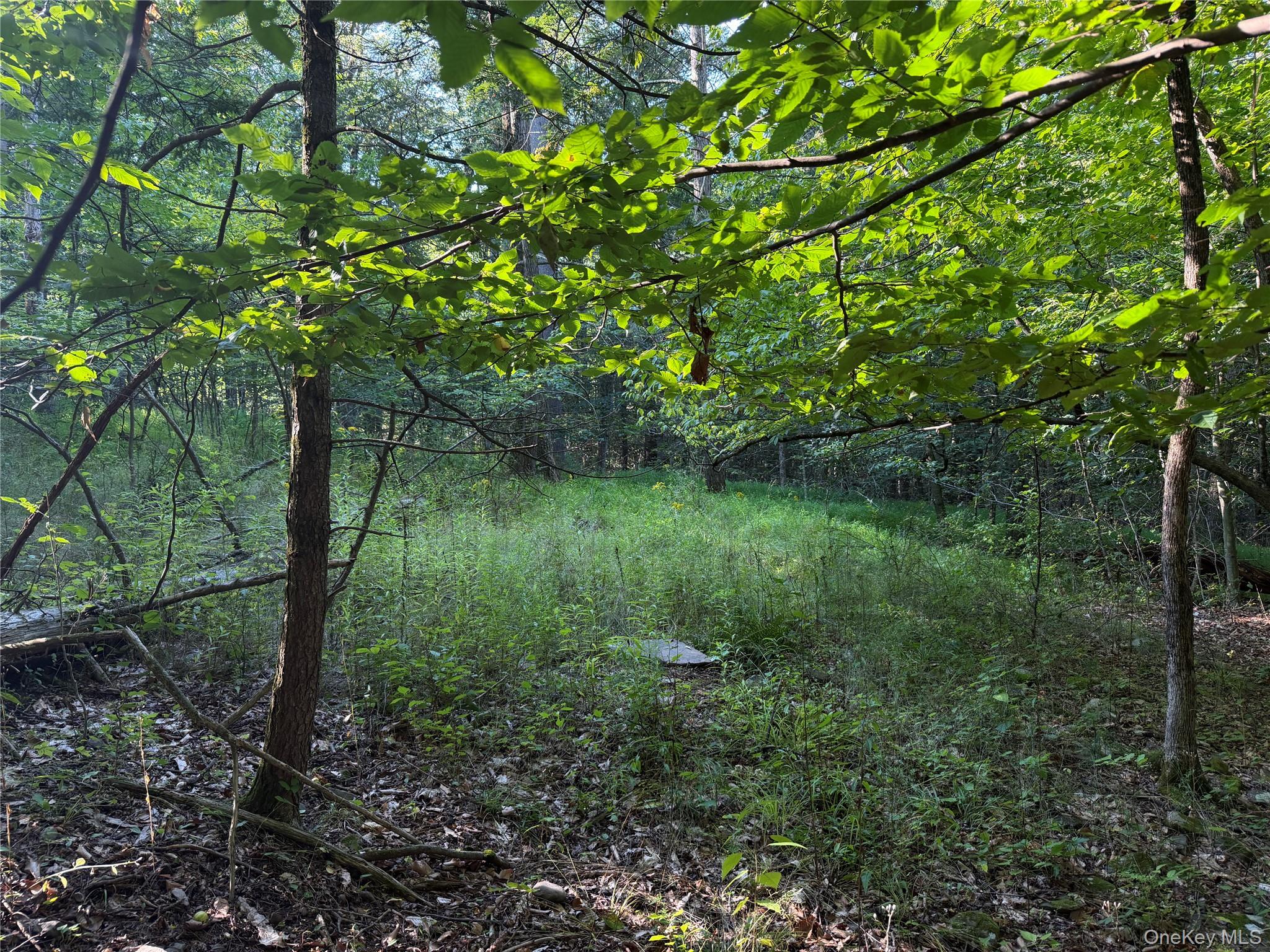 Hidden Court – For Sale photo 5