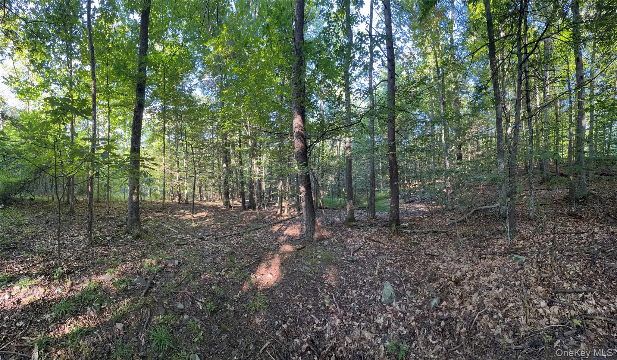 Hidden Court – For Sale