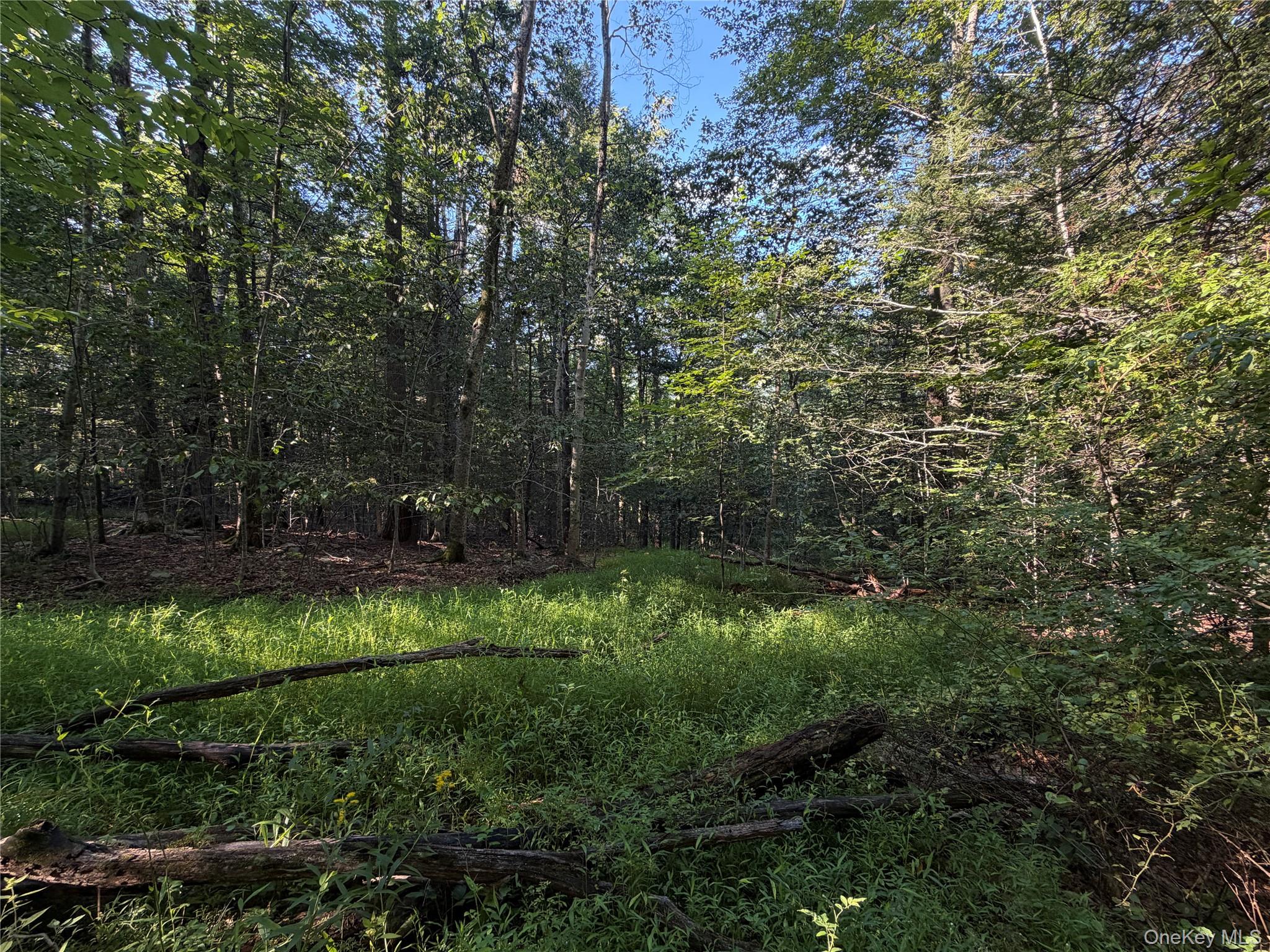 Hidden Court – For Sale photo 6