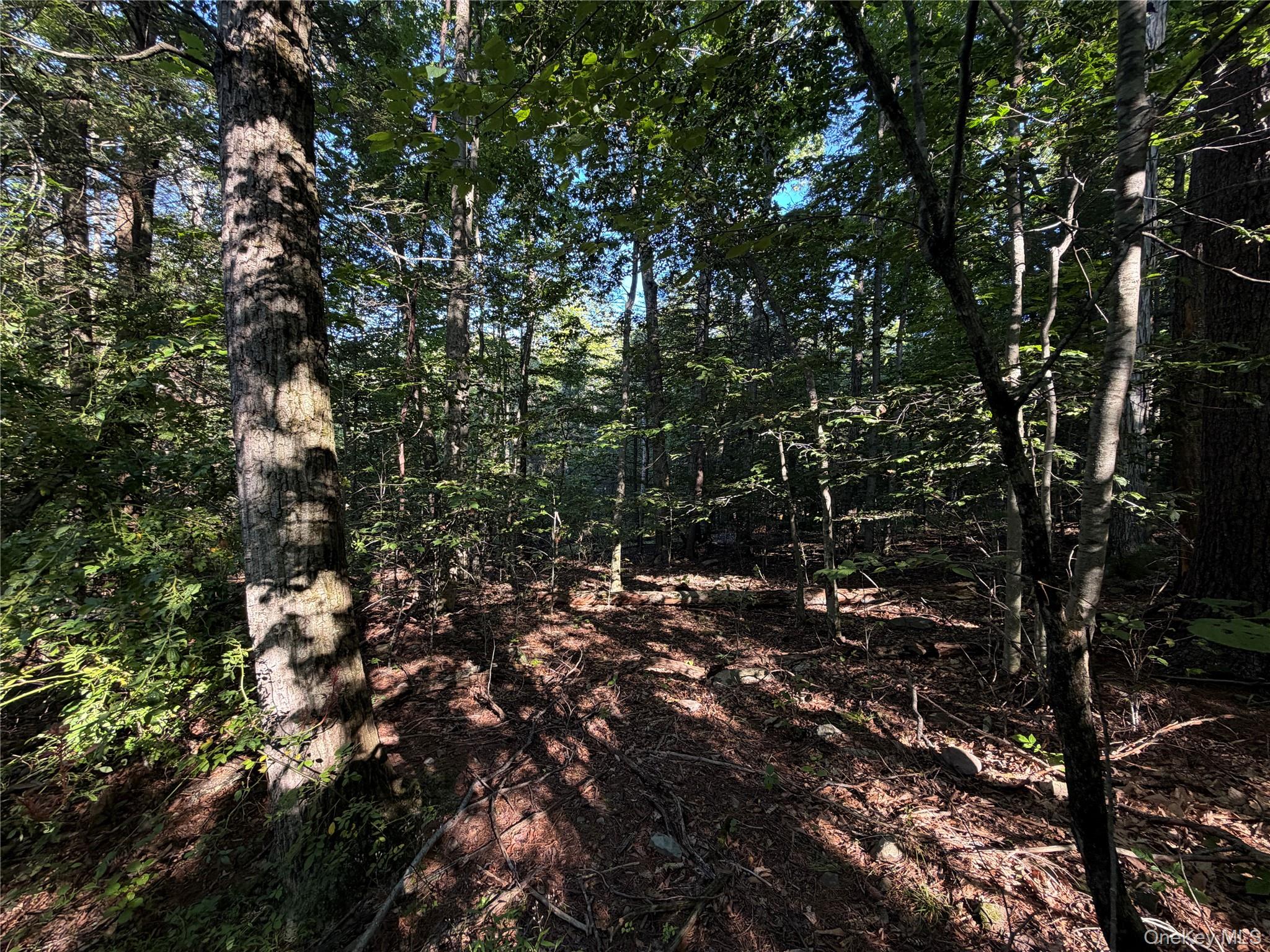 Hidden Court – For Sale photo 7