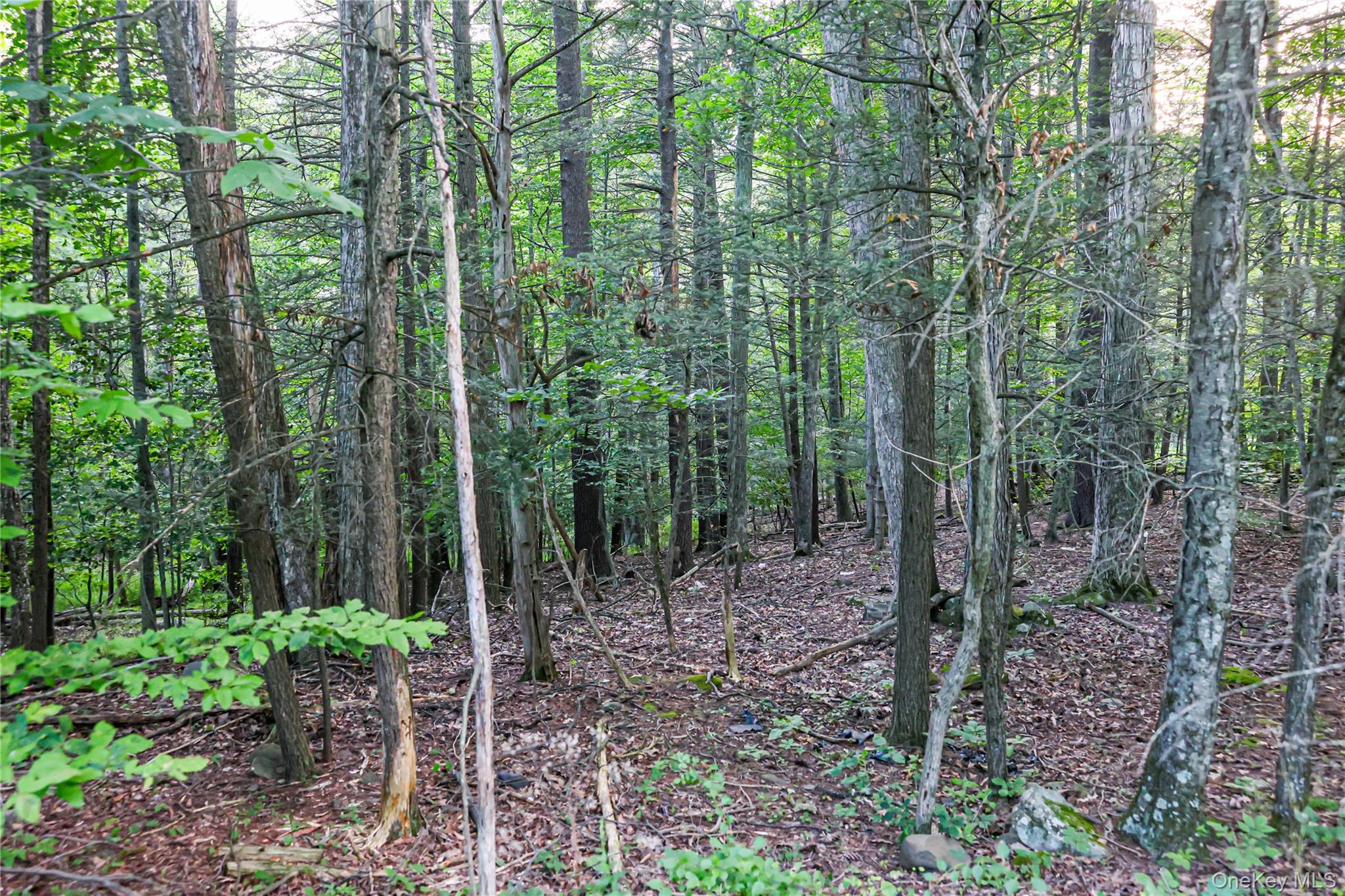 Hidden Court – For Sale photo 9