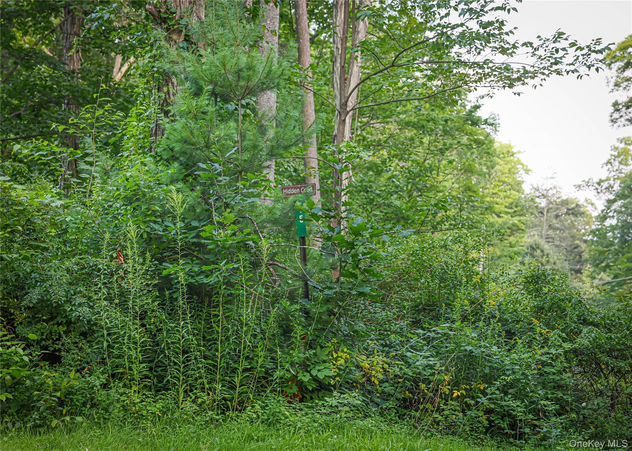 Hidden Court – For Sale photo 13