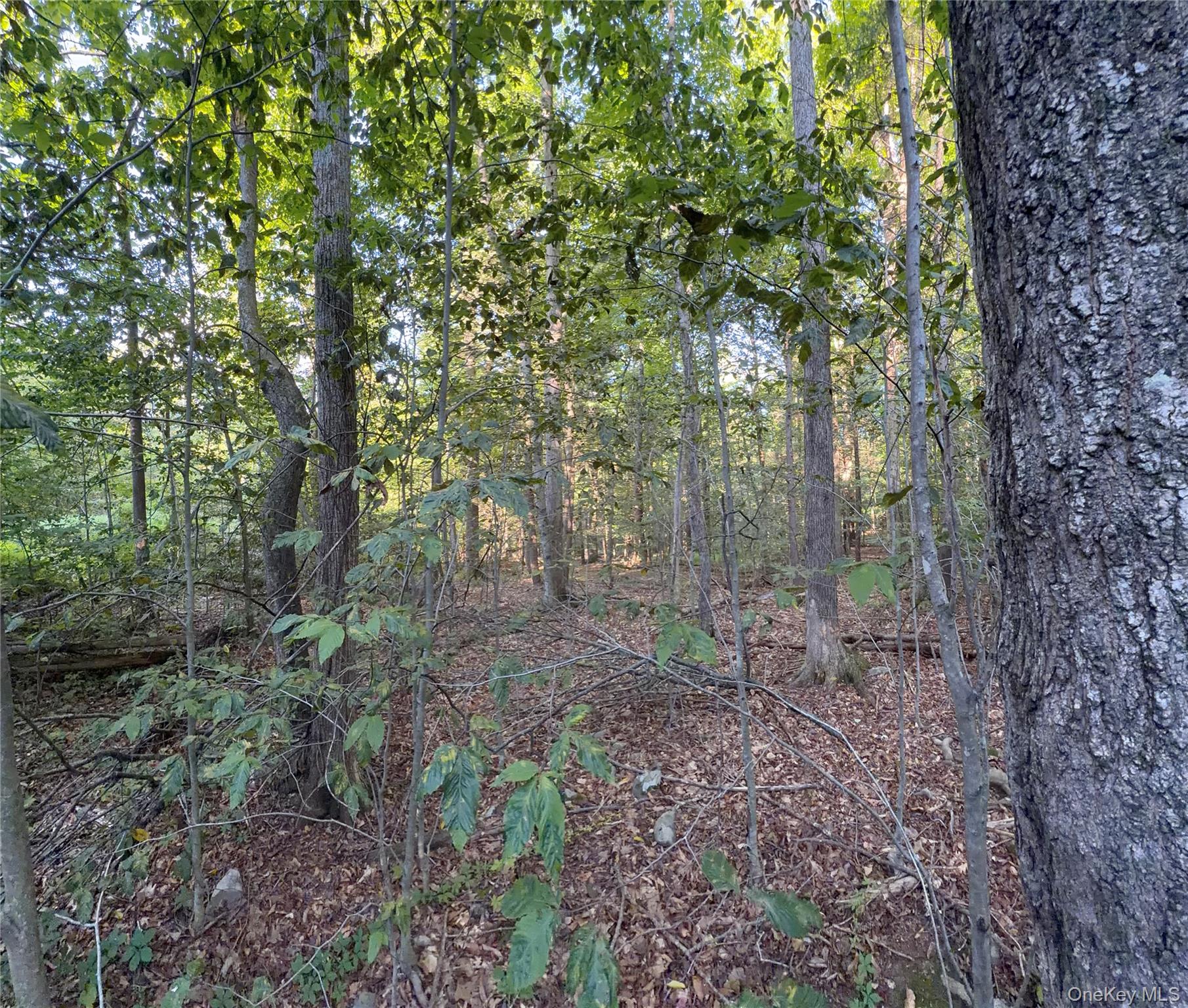 Hidden Court – For Sale photo 2