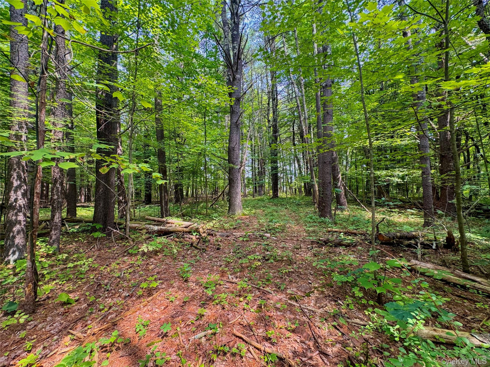 4480 State Route 23 – For Sale photo 5