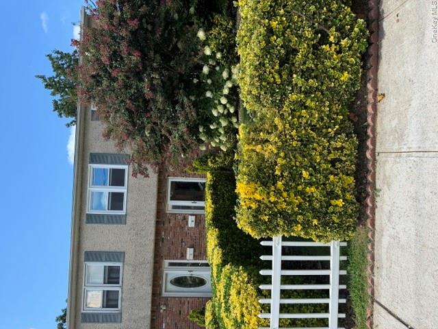 11 Chestnut Street – For Rent photo 2