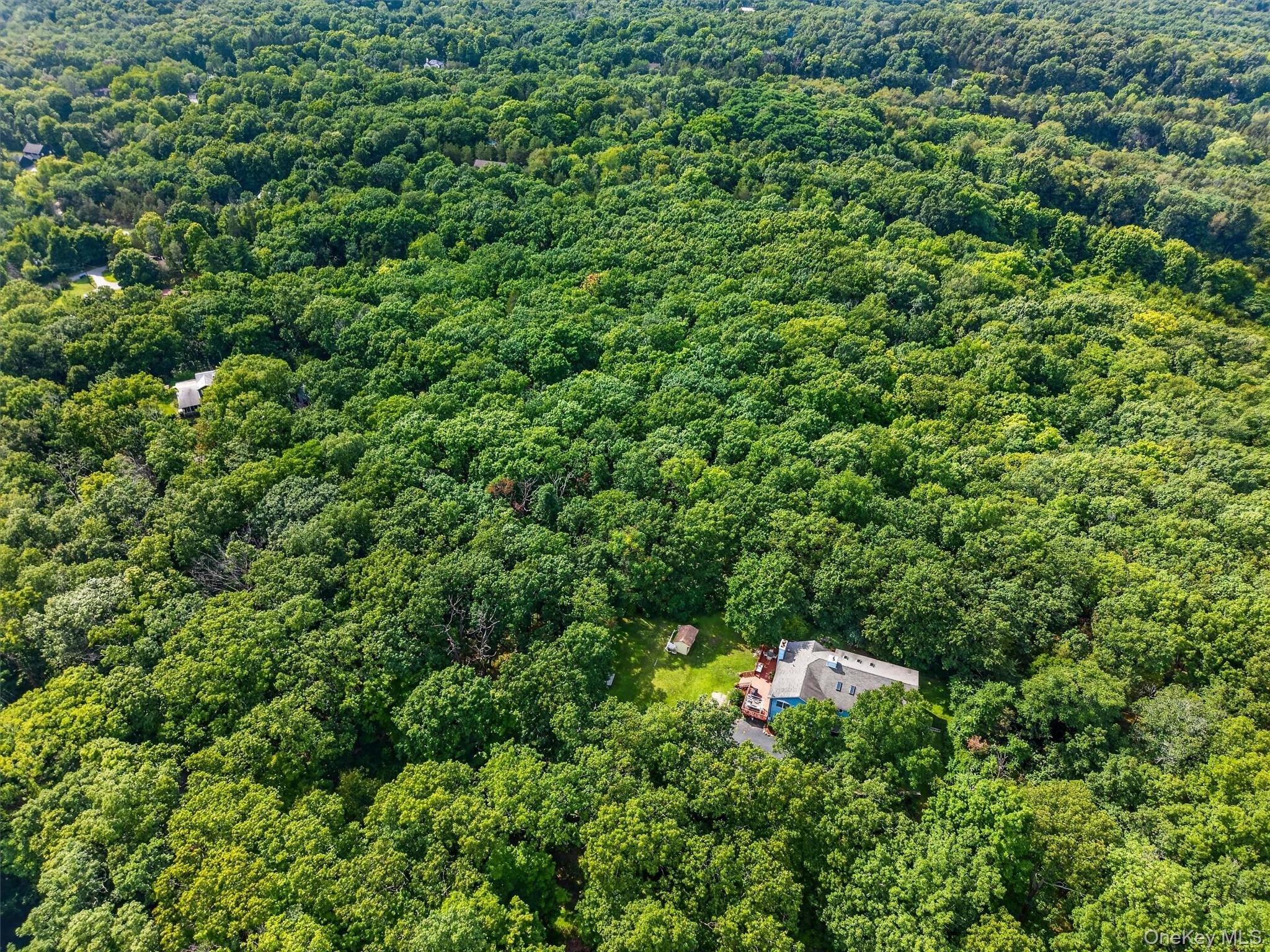 65 Oxford Springs Road – For Sale photo 33