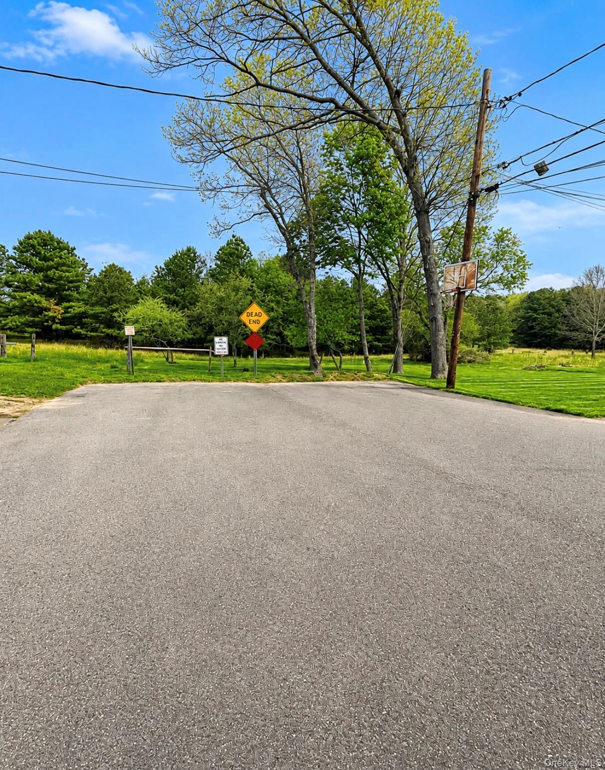 58 Iroquois Trail – For Sale photo 12