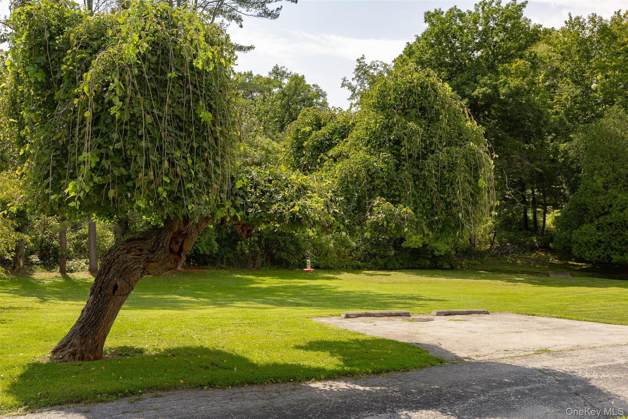 9 Hughes Avenue – For Sale photo 29