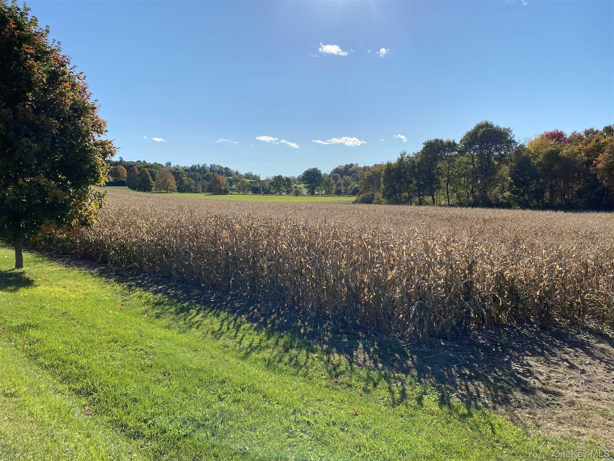 417 Tripp Road – For Rent photo 7