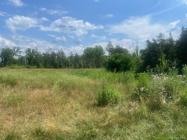 35 Pulcher Avenue – For Sale photo 4
