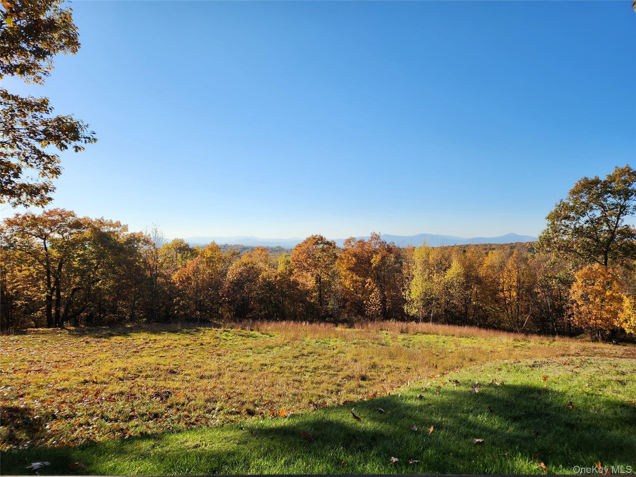 Willow Glen Road – For Sale photo 3