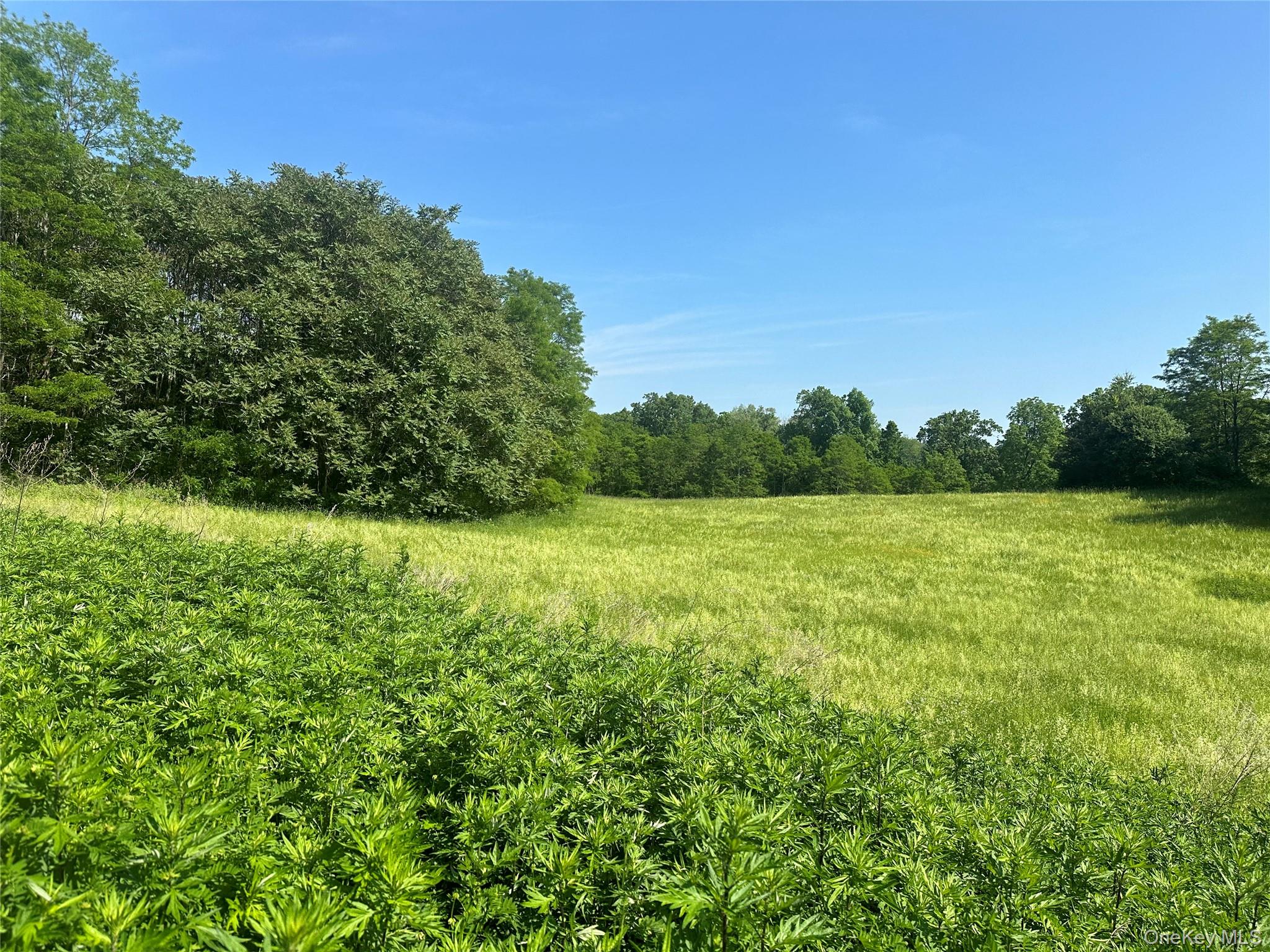Off Pleasant Vale Road – For Sale photo 5