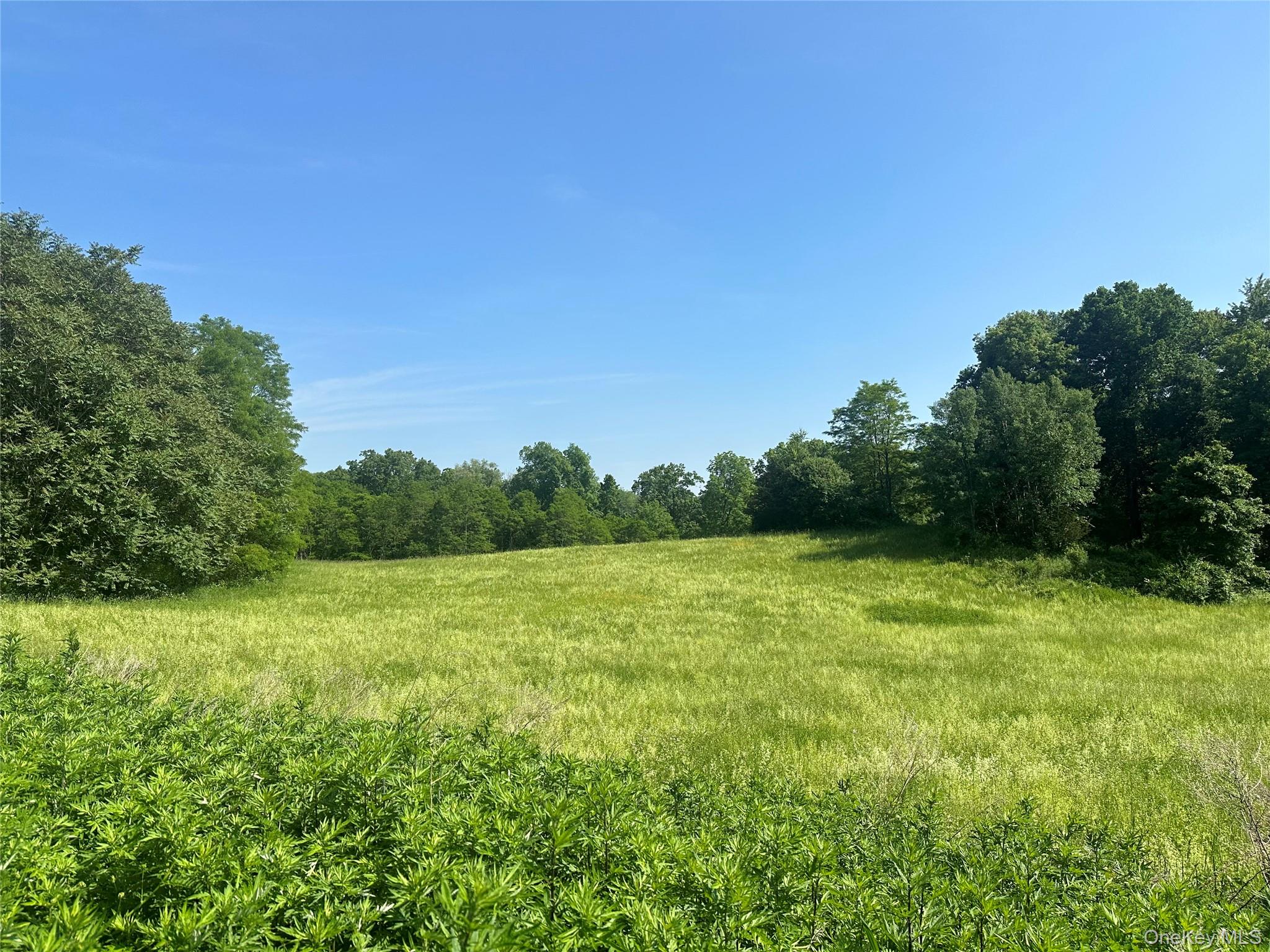Off Pleasant Vale Road – For Sale photo 4