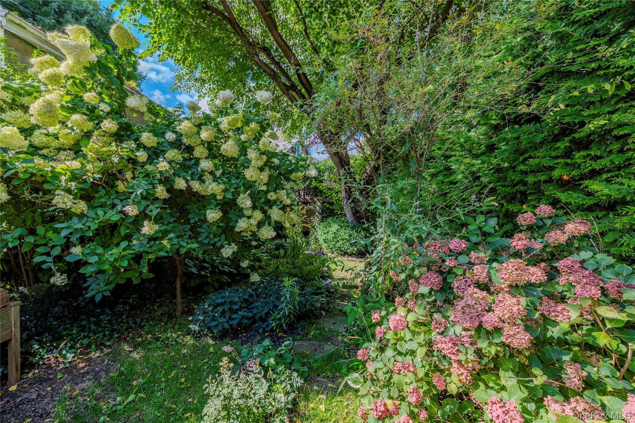 13 Kemble Avenue – For Sale photo 26