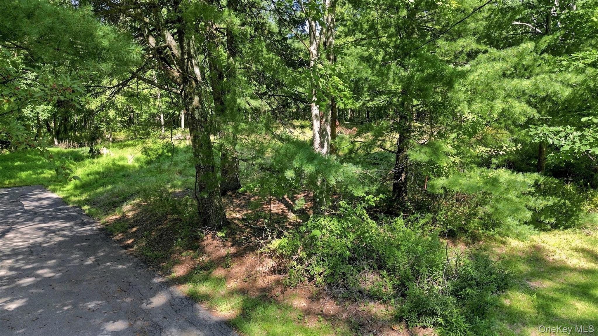 36 Spruce Street W – For Sale