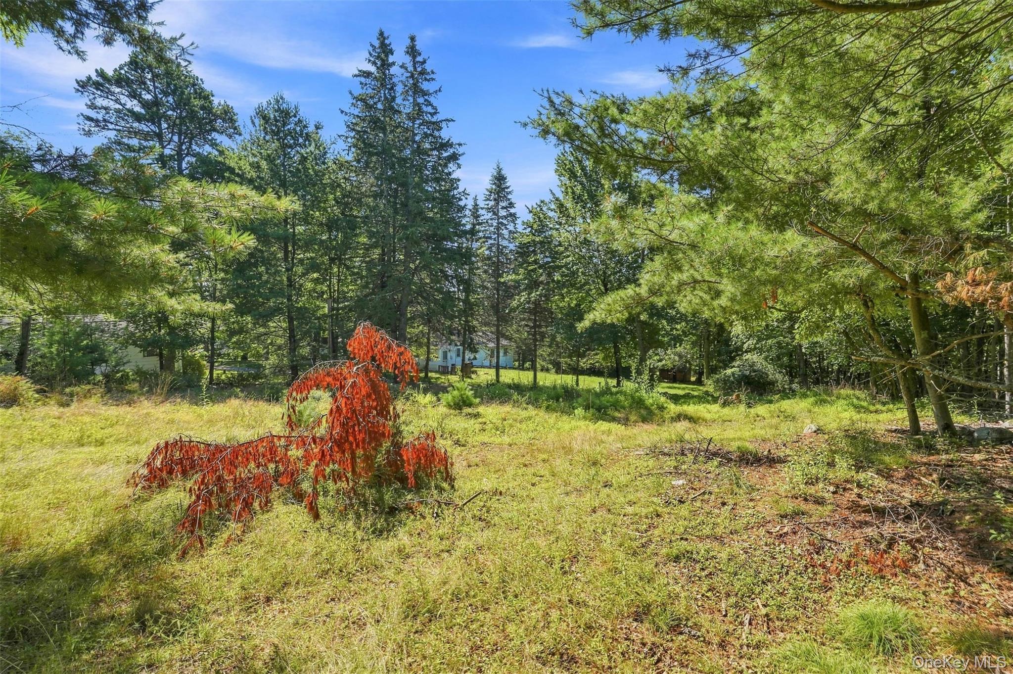36 Spruce Street W – For Sale photo 18