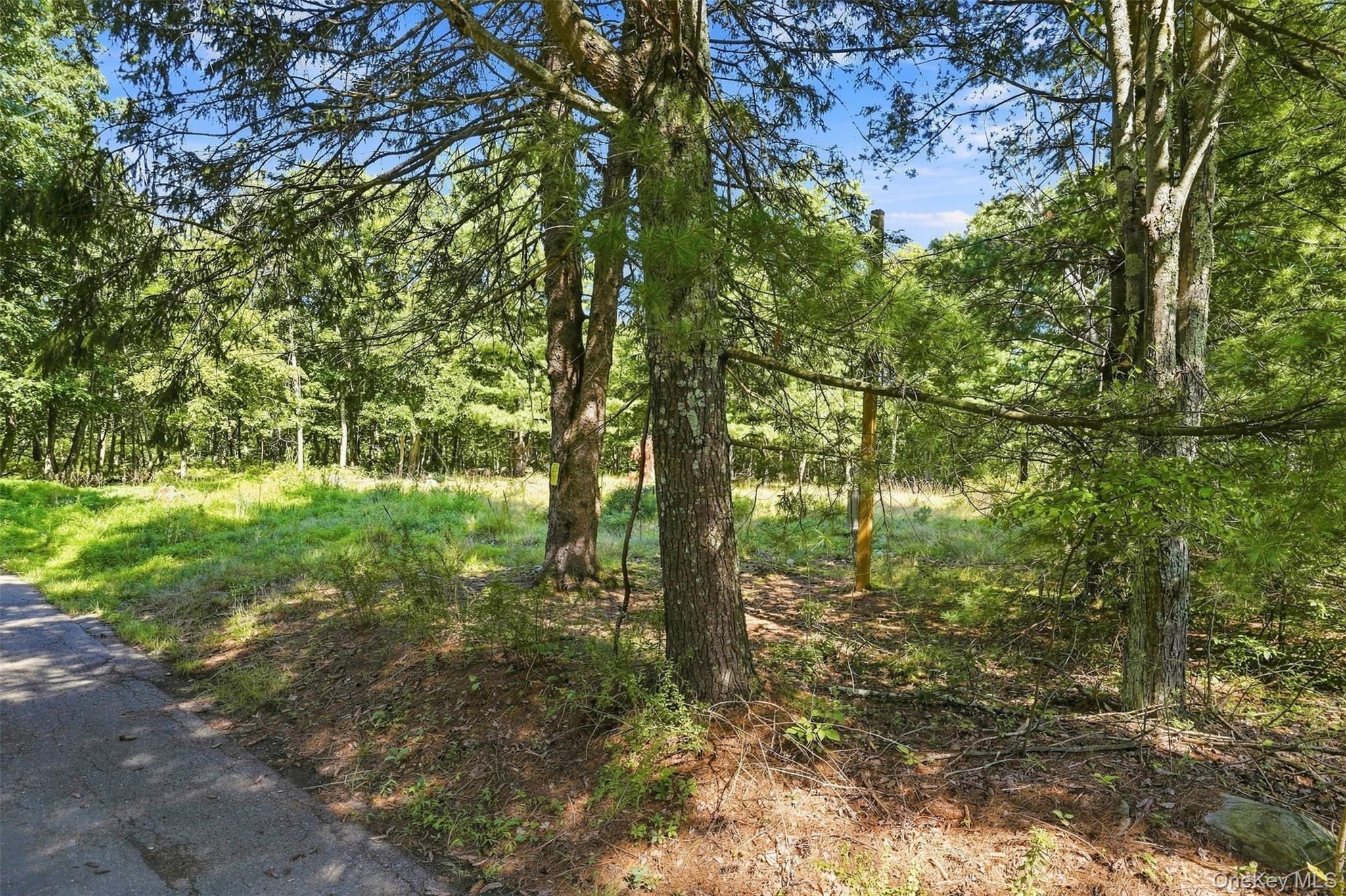 36 Spruce Street W – For Sale photo 16