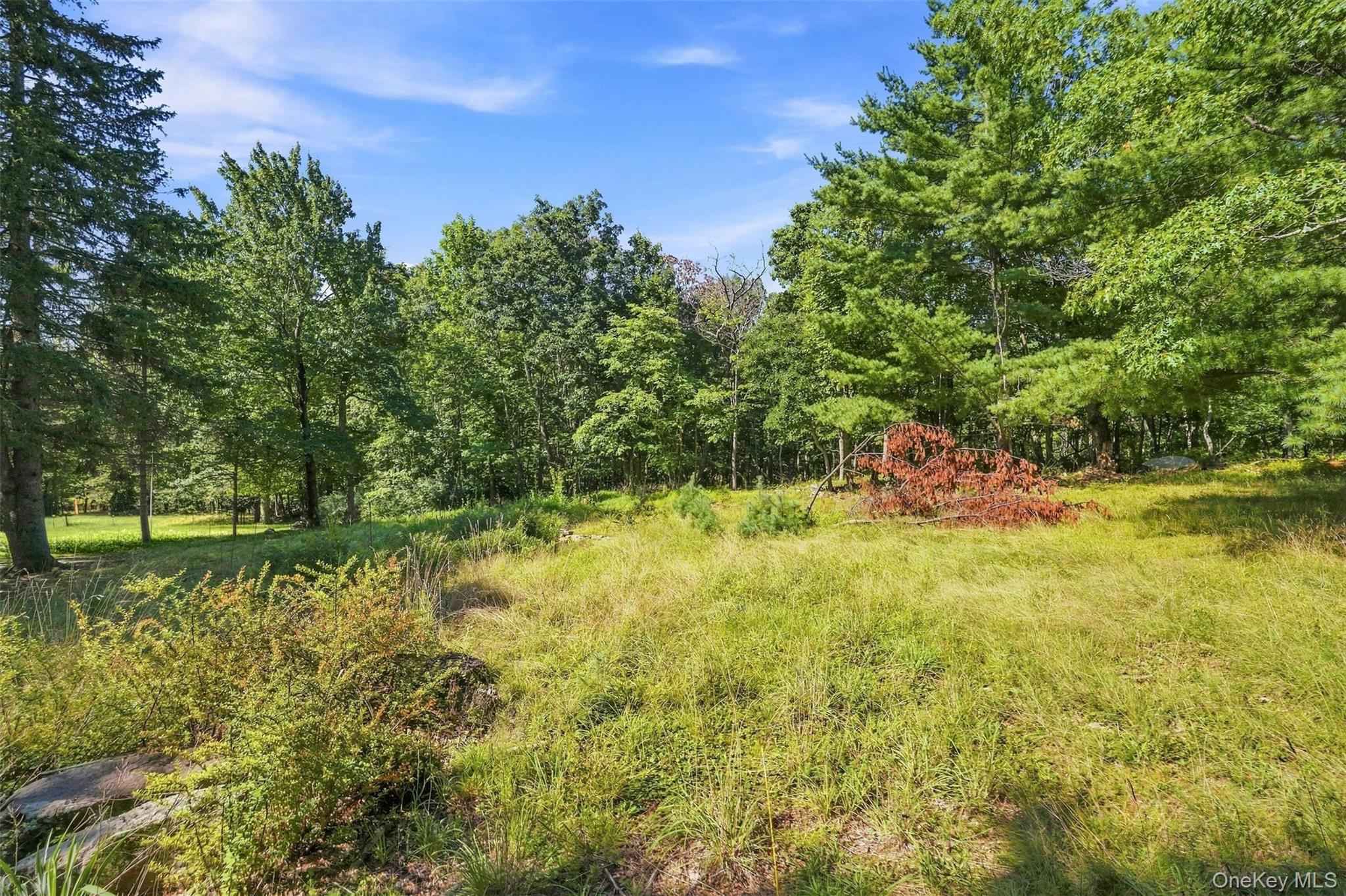 36 Spruce Street W – For Sale photo 19