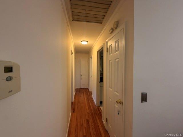 3 Elm Street – For Rent photo 11