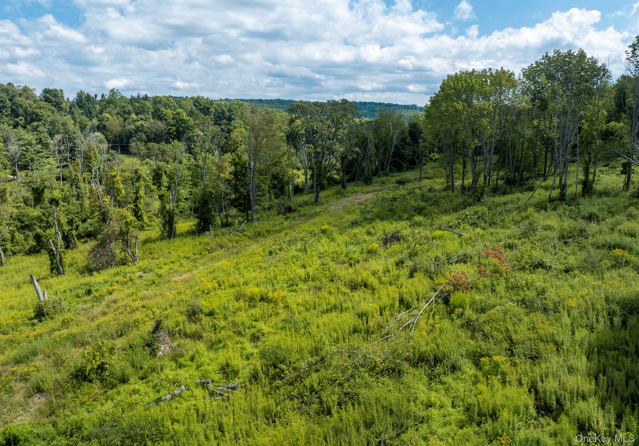 Camby Road – For Sale photo 25