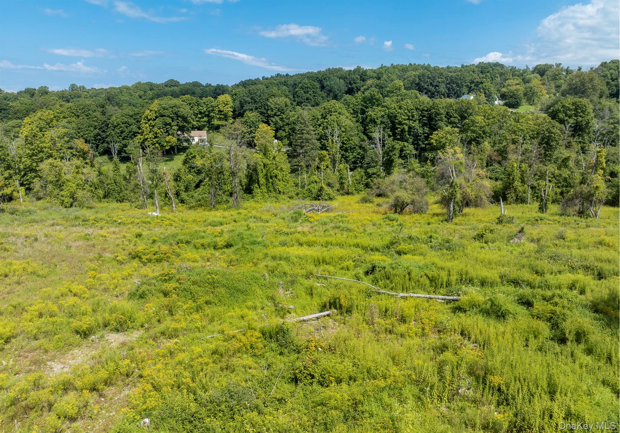 Camby Road – For Sale photo 17