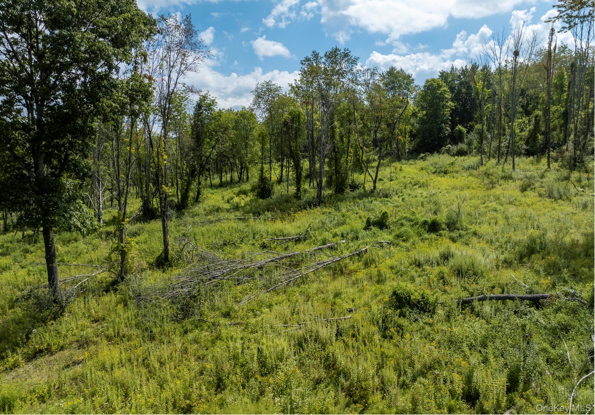 Camby Road – For Sale photo 16