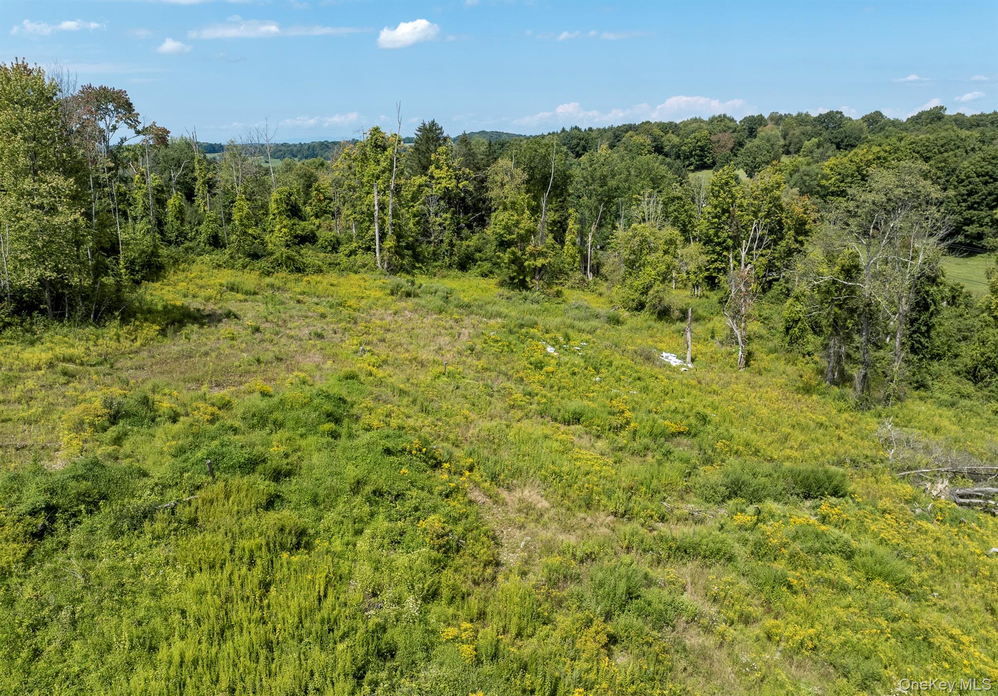 Camby Road – For Sale photo 23