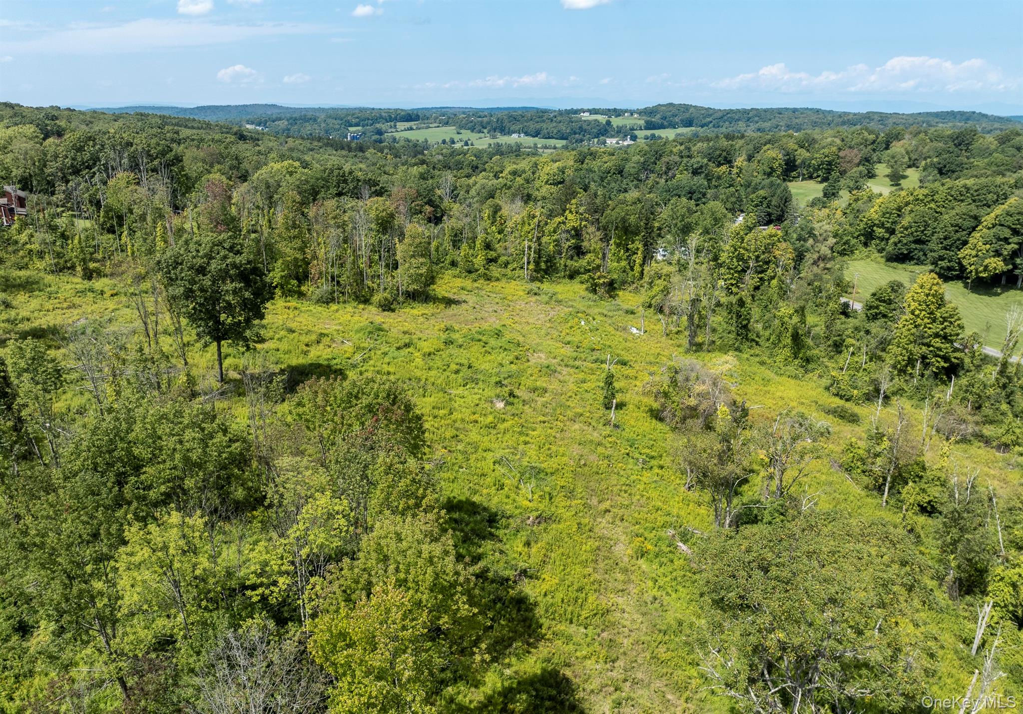 Camby Road – For Sale photo 21