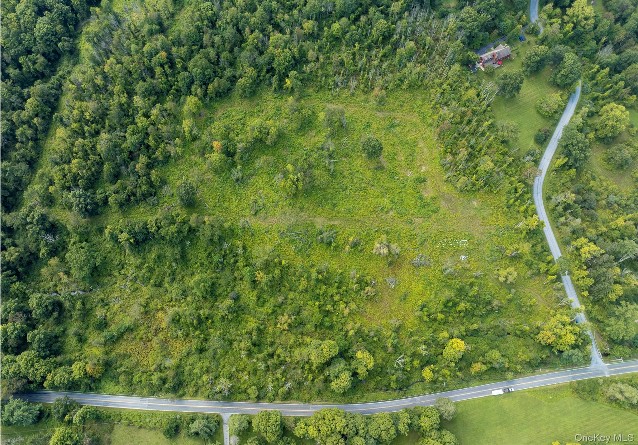 Camby Road – For Sale photo 2